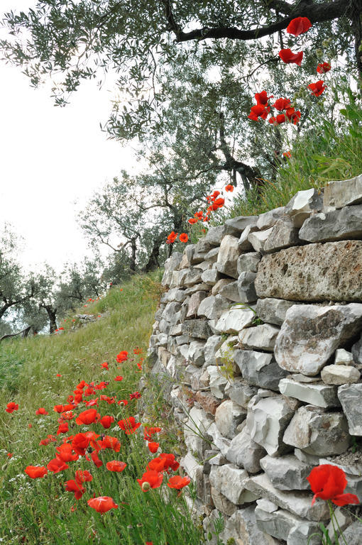 Agriturismo "Antico Frantoio" Foligno Exterior photo